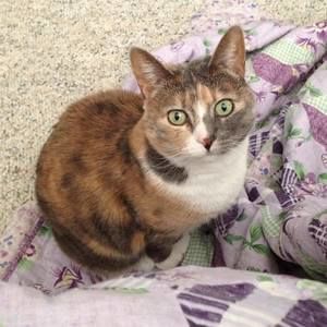 Meet your Posher, Kristy